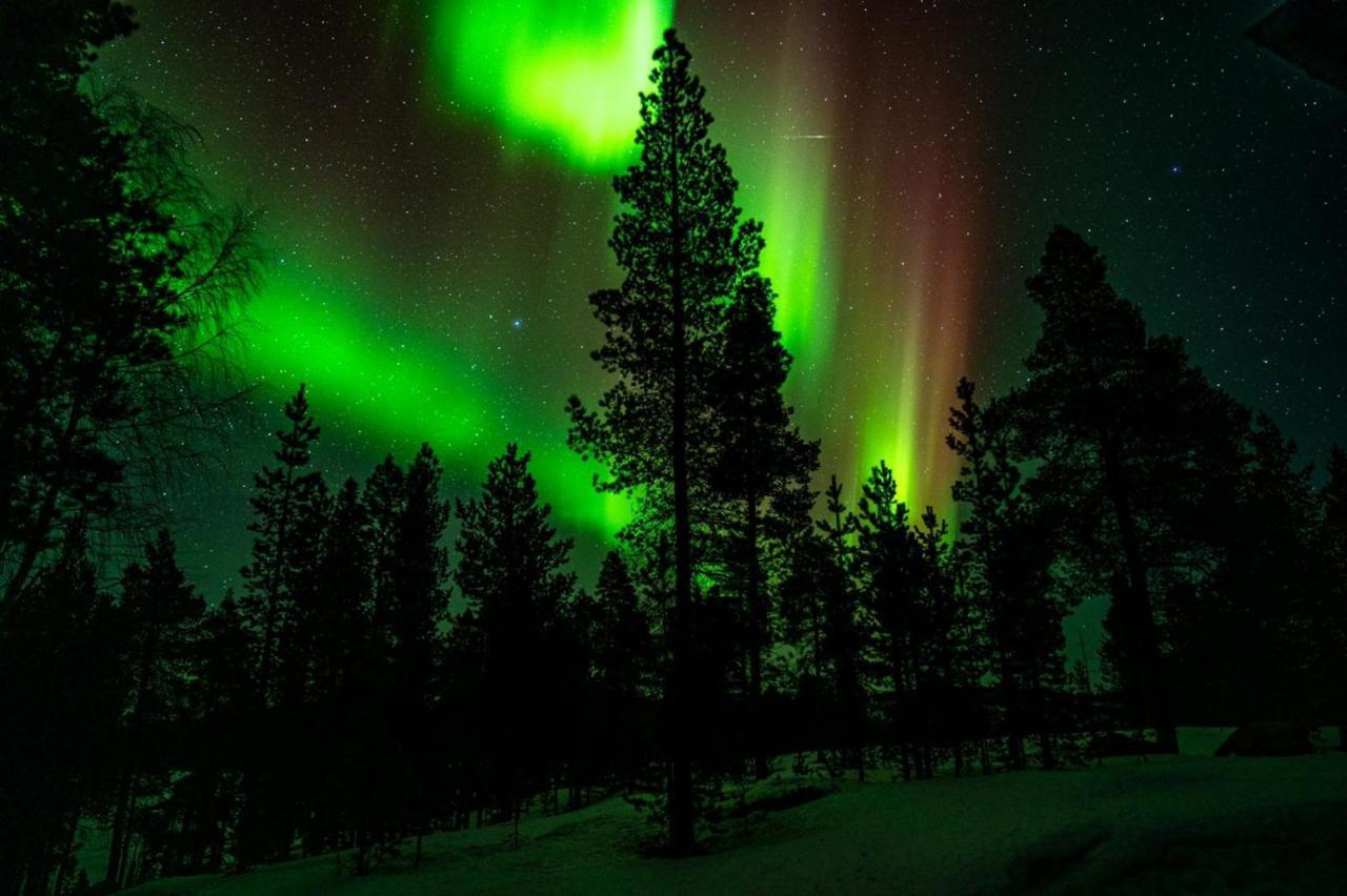 Norlight Cottages Ivalo - Tuli Dış mekan fotoğraf